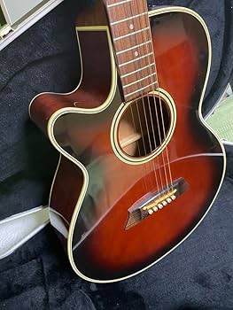Amazon.co.jp: 長渕剛愛用 Takamine エレアコPT106 純正ハード